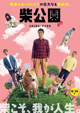 紧缚视频vk