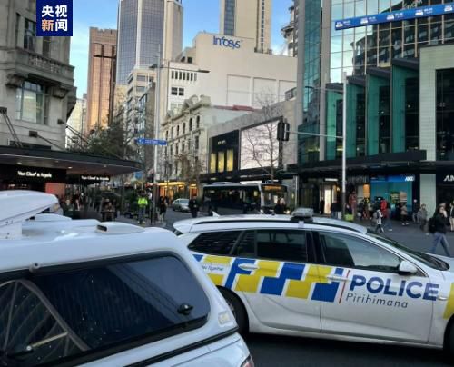 国产精品入口麻豆电影网