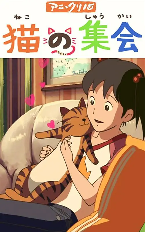 虹猫大本营视频在线播放