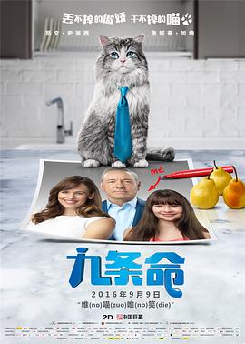 色婷婷激情