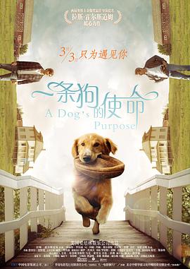 上海一家人电视剧免费观看
