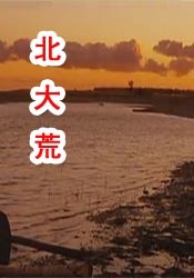 欧美肥婆d099a