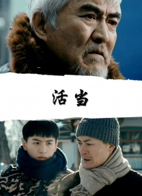 久久精品国产亚洲片