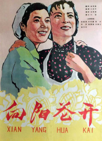 猫性的女人
