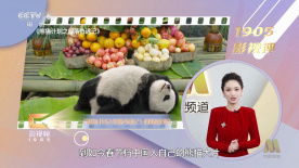 在线免费一级片